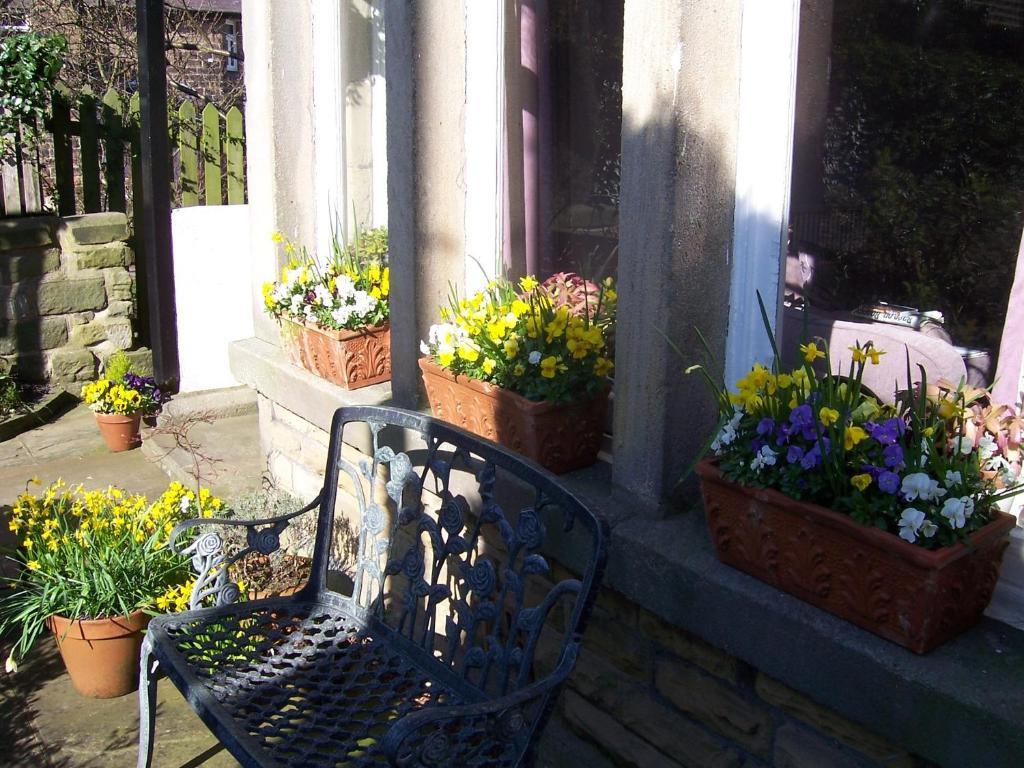 Spring Lodge Harrogate Dış mekan fotoğraf
